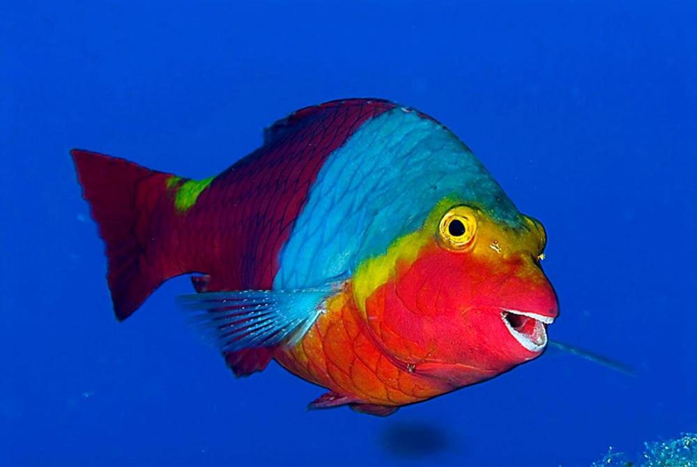 Acquario Dei Fralle オリスターノ エクステリア 写真